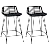 vidaXL Baaritool 2 tk Must 44 x 45 x 76 cm Rattan ja teras