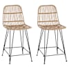 vidaXL Baaritool 2 tk Naturaalne 44 x 54 x 96 cm Rattan ja teras