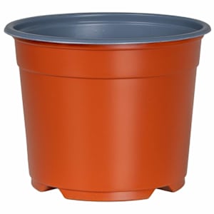 vidaXL &Uuml;mmargune lillepott 50 tk Terrakota &Oslash; 10 x 8 cm Plastmass