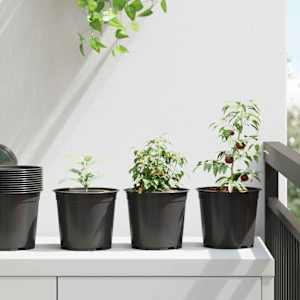 Květinový květináč 100 pcs Černá Ø 15 x 13 cm Plast - obrázek 1