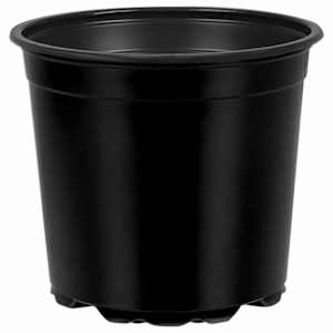 Květinový květináč 200 pcs Černá Ø 15 x 13 cm Plast - obrázek 2