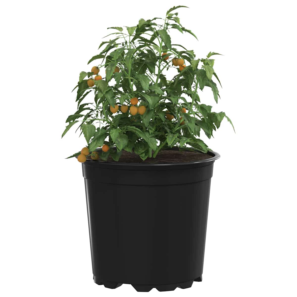 Rund Blomsterpotte Ø 15 x 13 cm Plastik - Billede 3