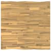 vidaXL Elu&auml;&auml;rega laua &uuml;lemine osa 70 x 70 x 3,2 cm Kandiline