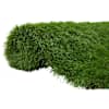 vidaXL Tehisrohi 100 x 200 cm Green PP ja PE