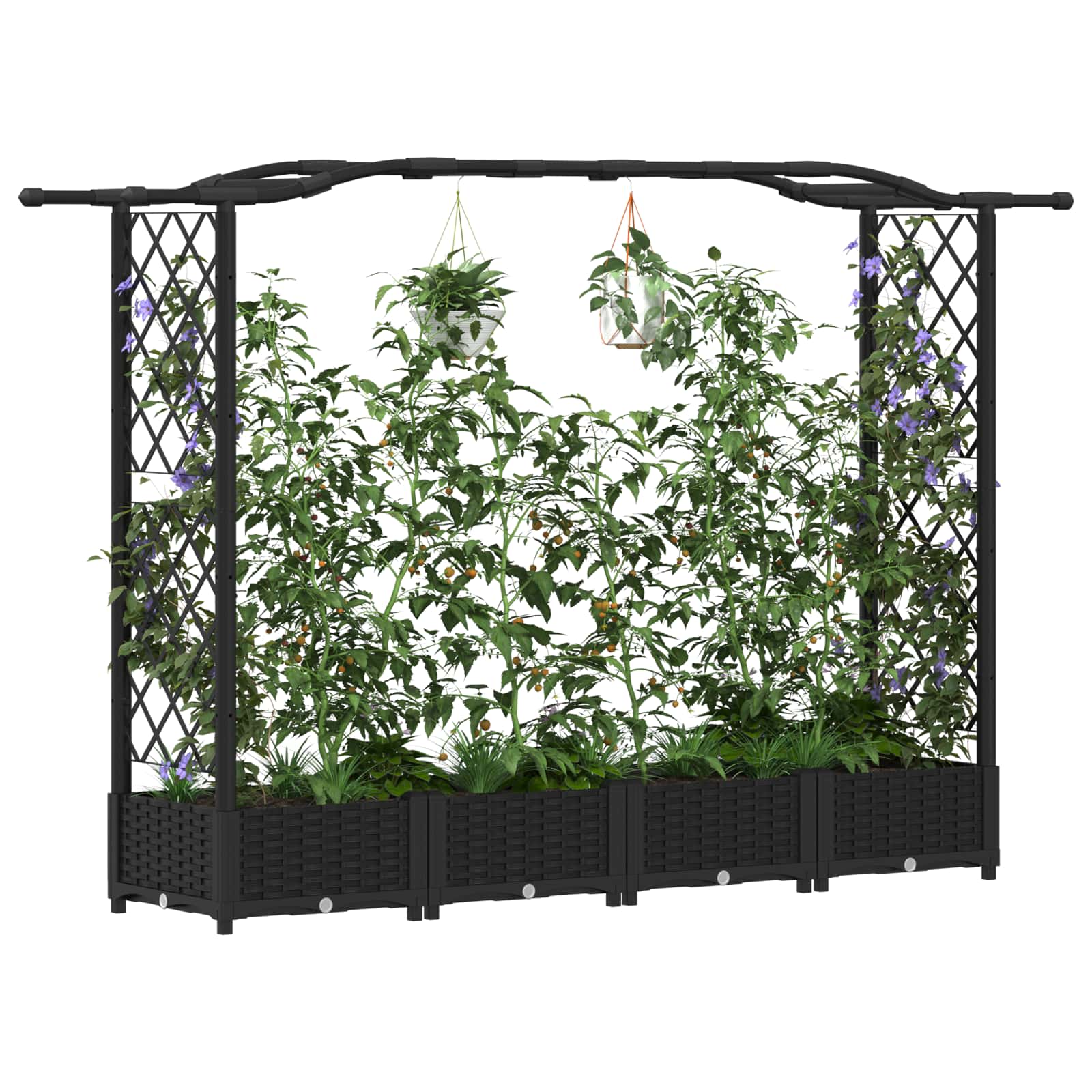 Verhoogd Bed met Trellis en Dak Zwart 207 x 40 x 126 cm PP image 3