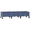 Blue_grey