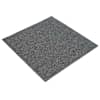 vidaXL Vaipplaat Keskmine Hall 50 x 50 cm 36 tk PP ja bituumeni