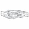 vidaXL Gabioni t&otilde;stetud voodi 100 x 100 x 20 cm Tsinkteras H&otilde;bedane