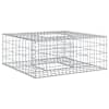 vidaXL Gabioni t&otilde;stetud voodi 100 x 100 x 40 cm Tsinkteras H&otilde;bedane
