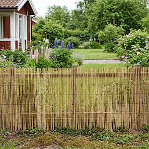 Zahradní plot Karbonizovaný 400 x 100 cm Rákos - obrázek 1