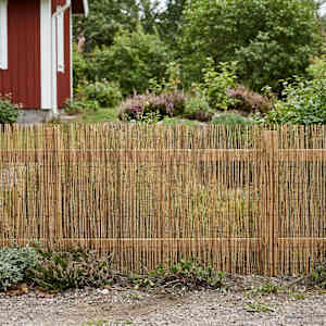Zahradní plot Karbonizovaný 600 x 100 cm Rákos - obrázek 3