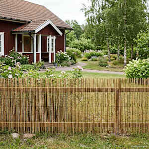 Vrtna ograja Karbonizirano 300 x 80 cm Trsje