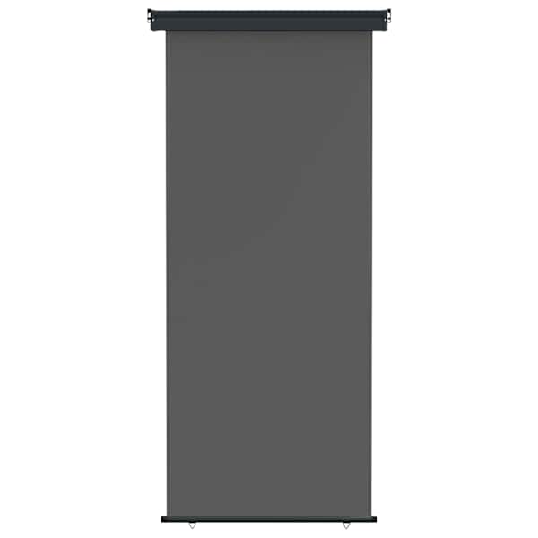 vidaXL Balkoni k&uuml;lgvarjualune 100 x 250 cm