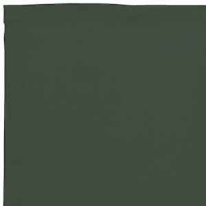 Náhradní lem markýzy Tmavě zelená 381 x 20 cm Polyester - obrázek 5