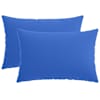 Royal_blue