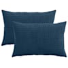 vidaXL Diivanipadi 2 pcs ALMELO Tumesinine 30 x 50 cm manchester