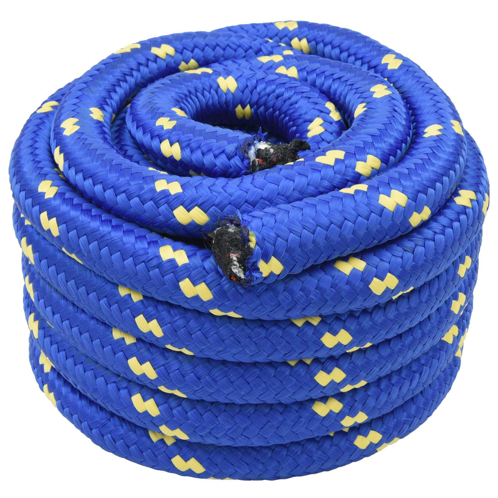 vidaXL Sfoară de Barcă albastru PP
