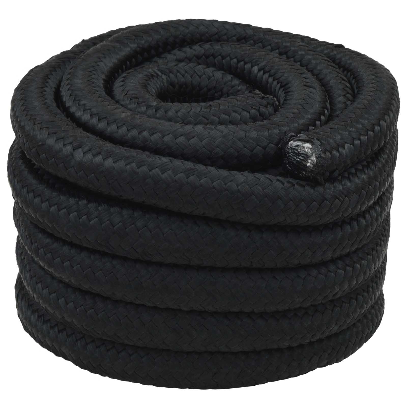 vidaXL Sfoară de Barcă Negru complet PP