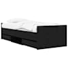 Black_oak