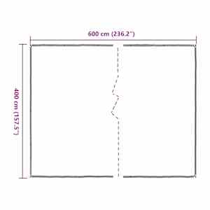 Pokrytí rostlin Transparentní 4 x 6 m PE - obrázek 10