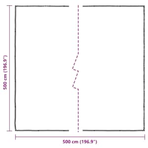 Pokrytí rostlin Transparentní 5 x 5 m PE - obrázek 10