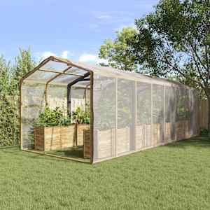 Pokrytí rostlin Transparentní 6 x 6 m PE - obrázek 1