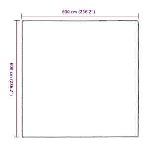 Pokrytí rostlin Transparentní 6 x 6 m PE - obrázek 10