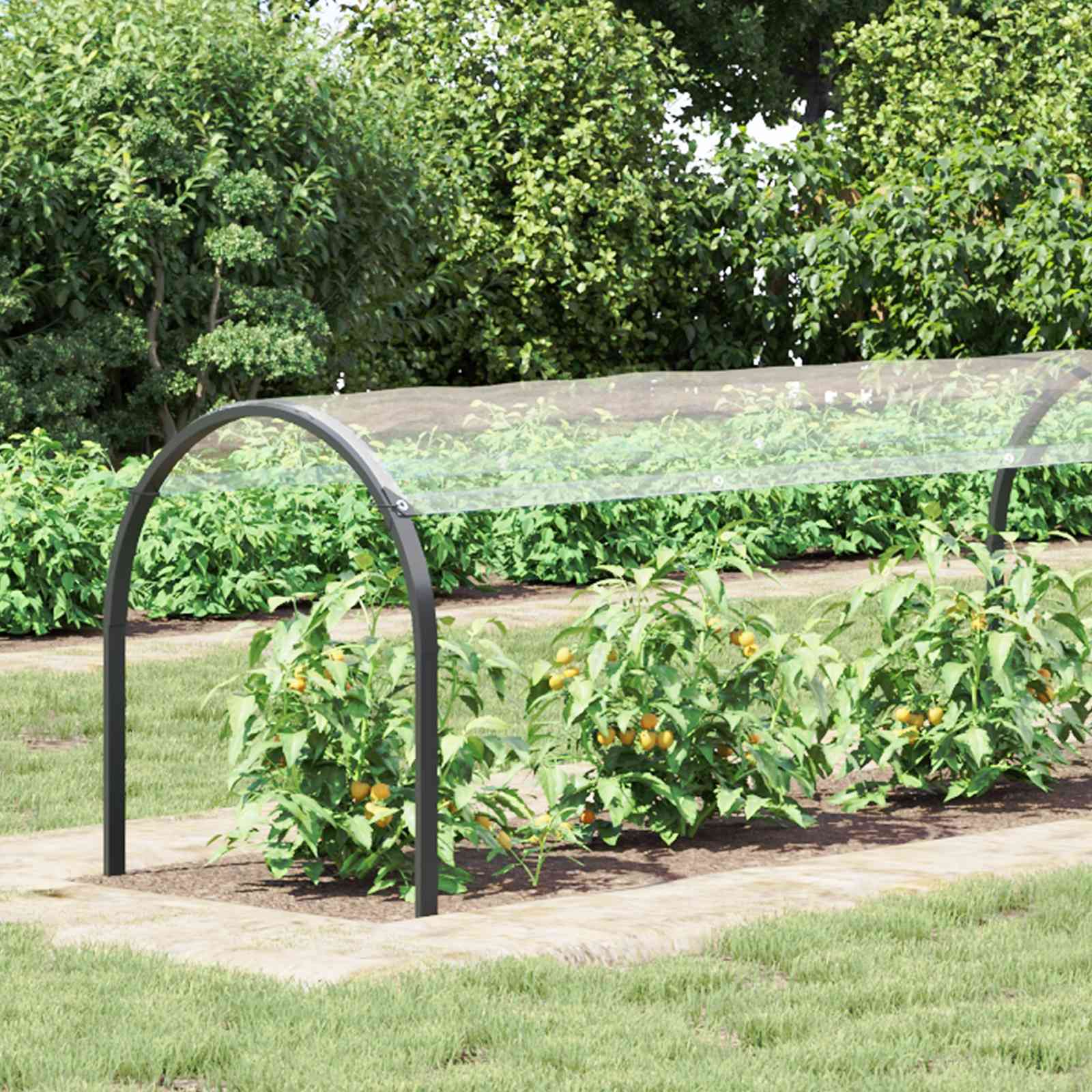 Plantenhoes Doorzichtig 20 x 1,5 m PVC image 1