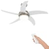vidaXL Lageventilaator koos valguse ja kaugjuhtimispuldiga &Oslash; 110 cm