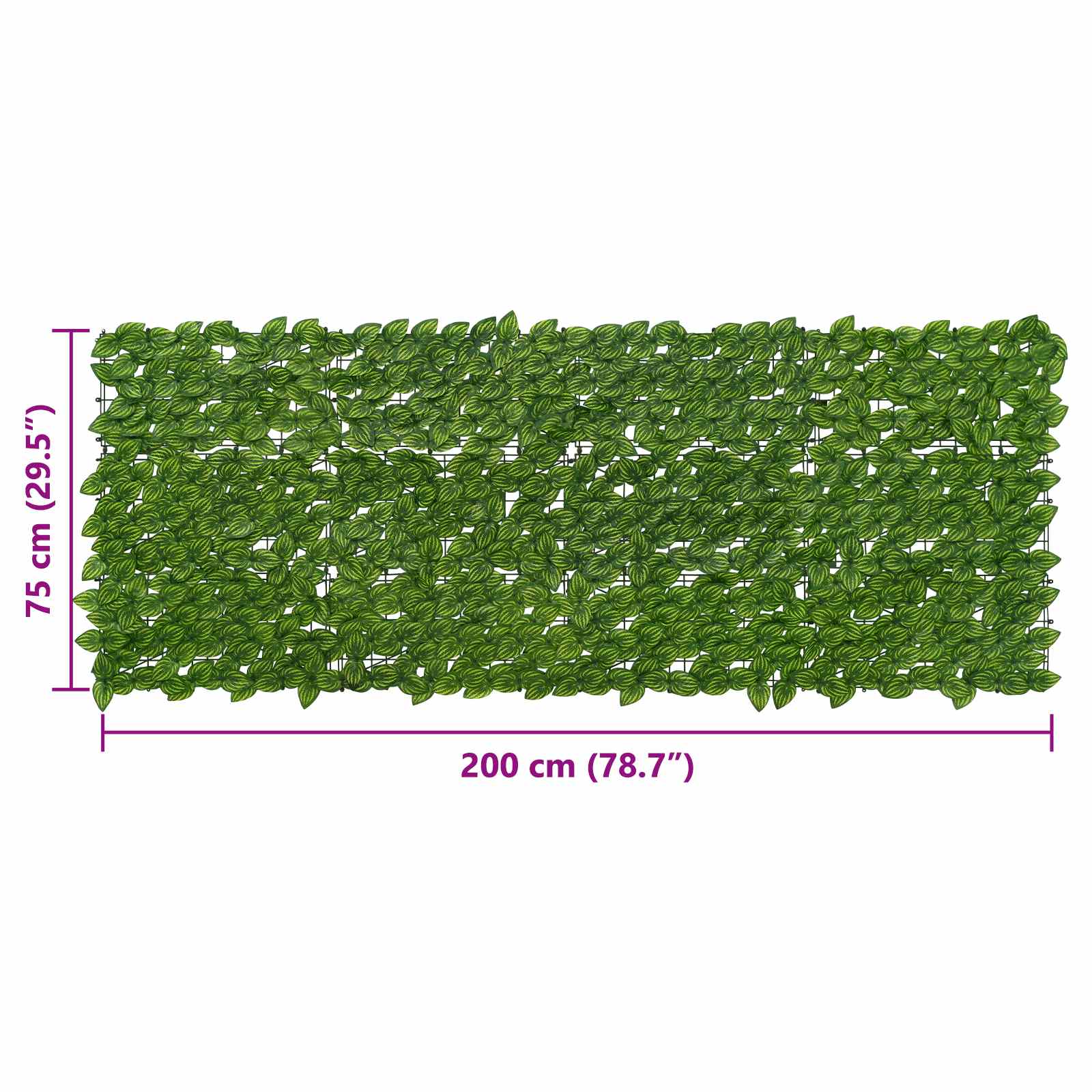 Balkonscherm met bladeren Groen en Geel 200 x 75 cm image 5