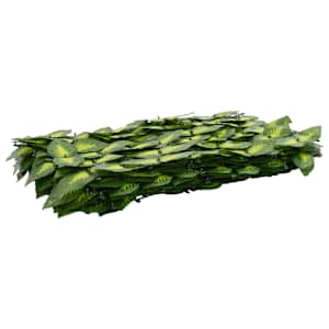 Clona na balkon s listy Zelená a žlutá 500 x 100 cm - obrázek 2