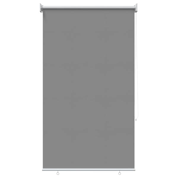 vidaXL V&auml;ljas ruloopimedus UV kaitse Helehall 100 x 230 cm (L x K)