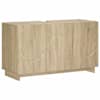 vidaXL Vannitoakapp Sonoma tamm 101 x 41 x 58 cm Tehispuit