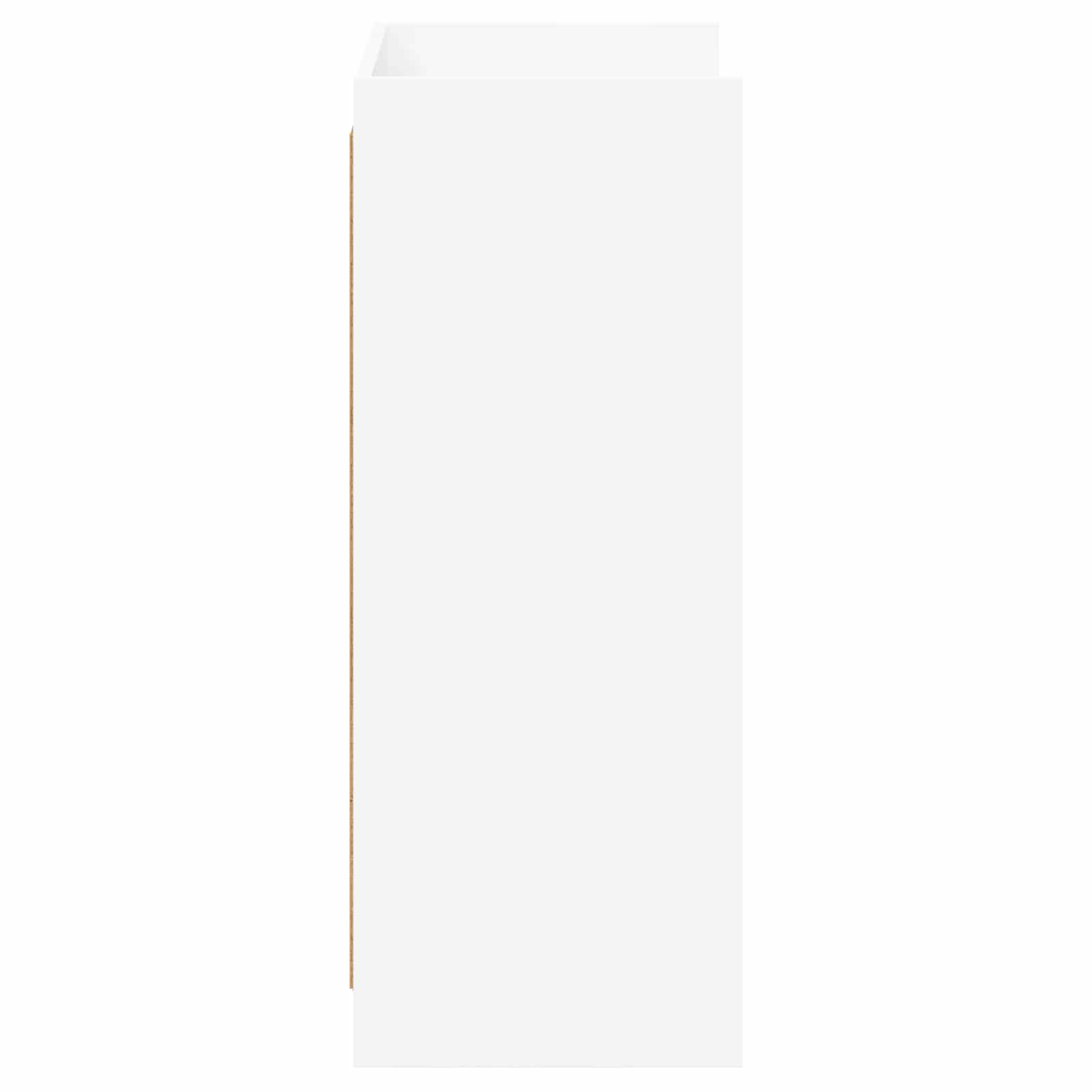 Schoenenkast met opslag Wit 48 x 36 x 92 cm Bewerkt hout image 5