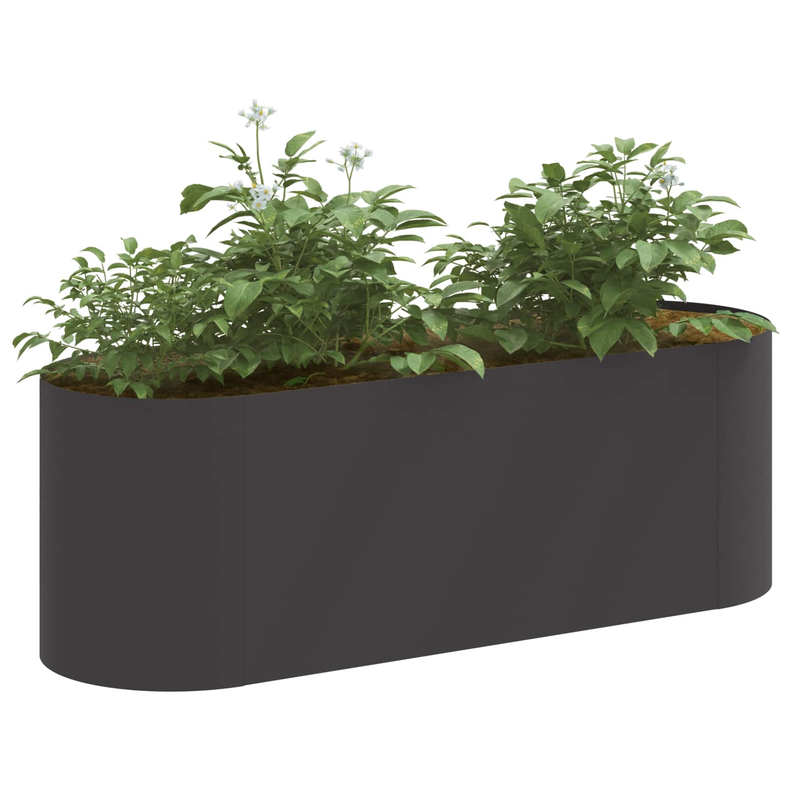 Verhoogd Tuinbed Zwart 120 x 40 x 40 cm Staal image 2