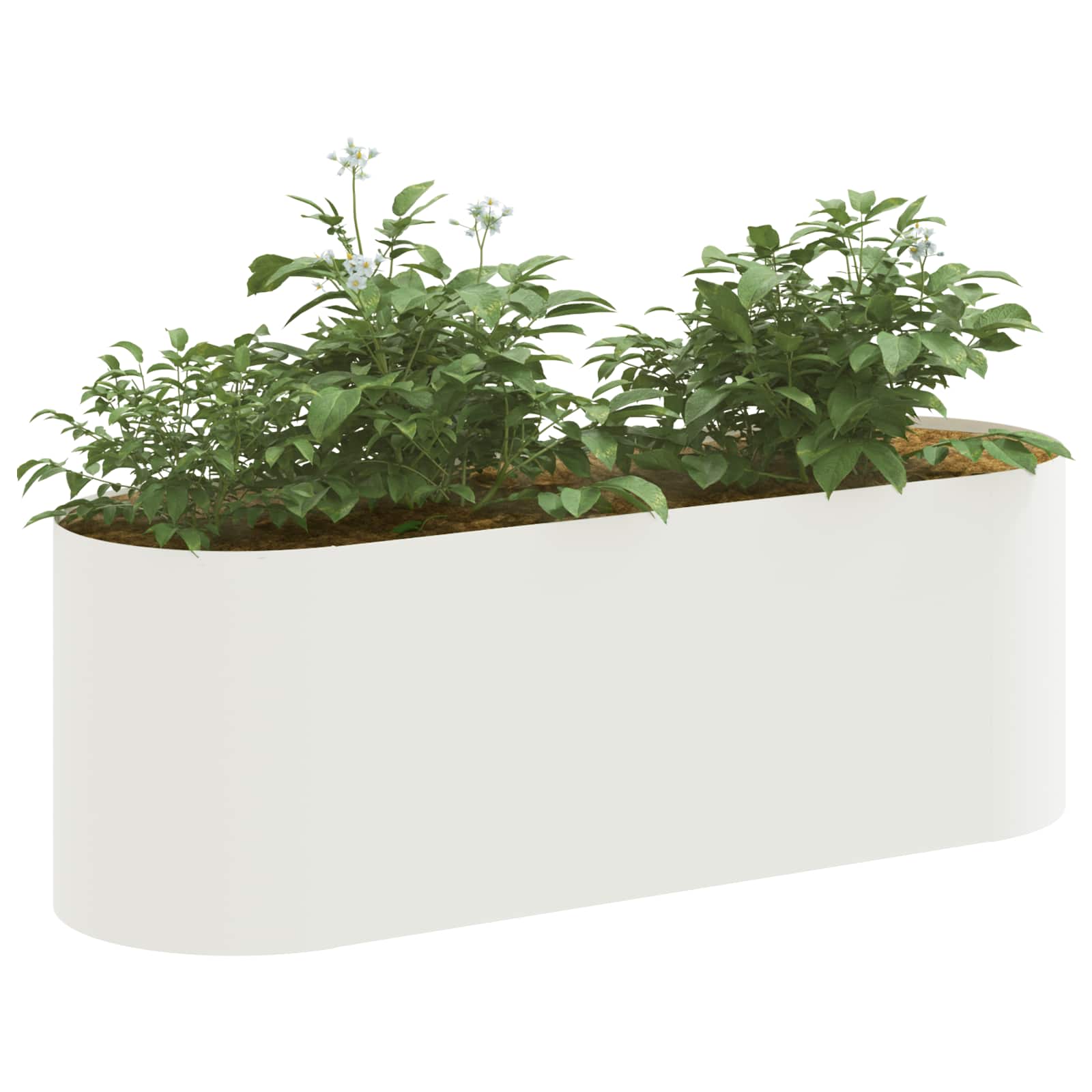 Verhoogd Tuinbed Wit 120 x 40 x 40 cm image 2
