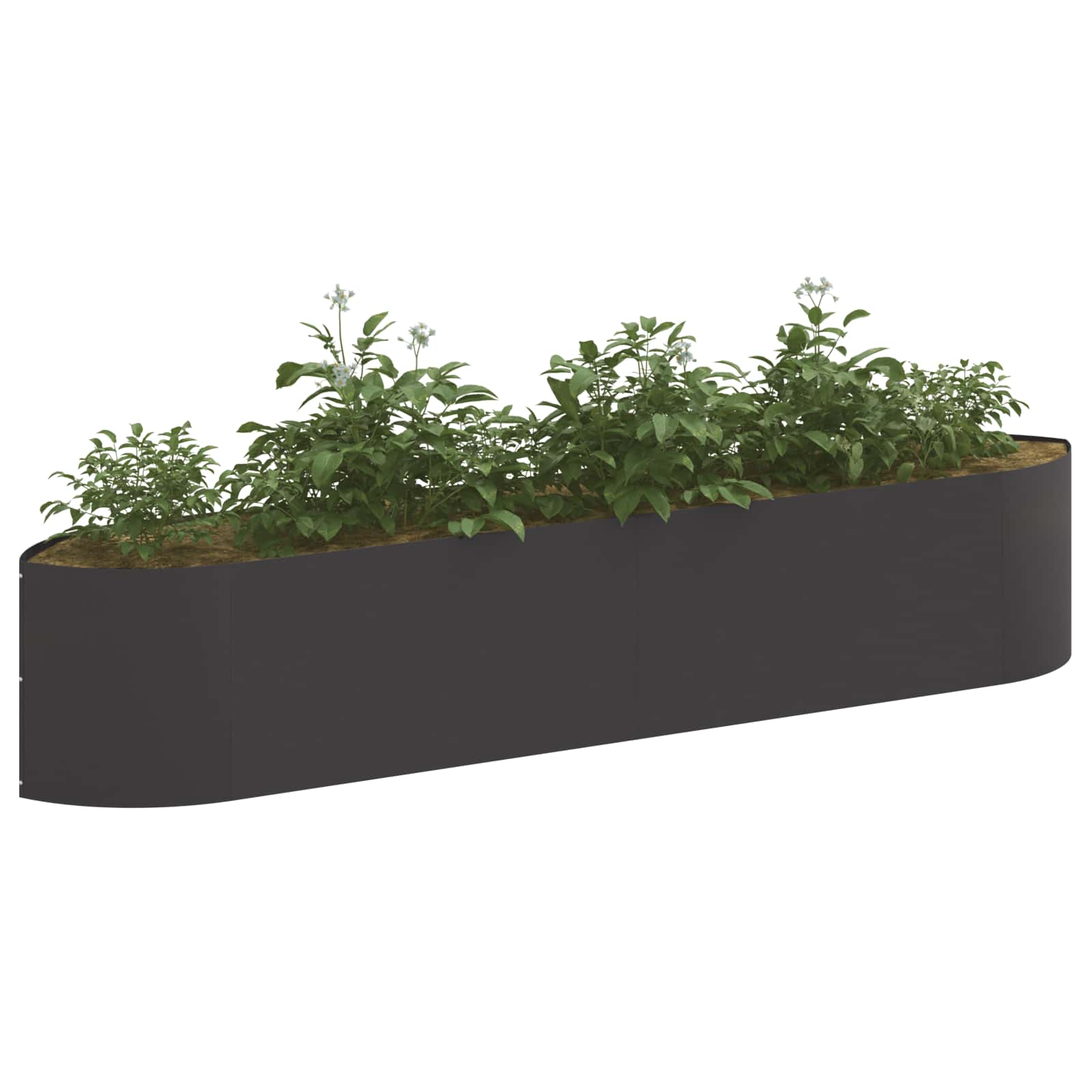 Verhoogd Tuinbed Zwart 220 x 40 x 40 cm Staal image 2