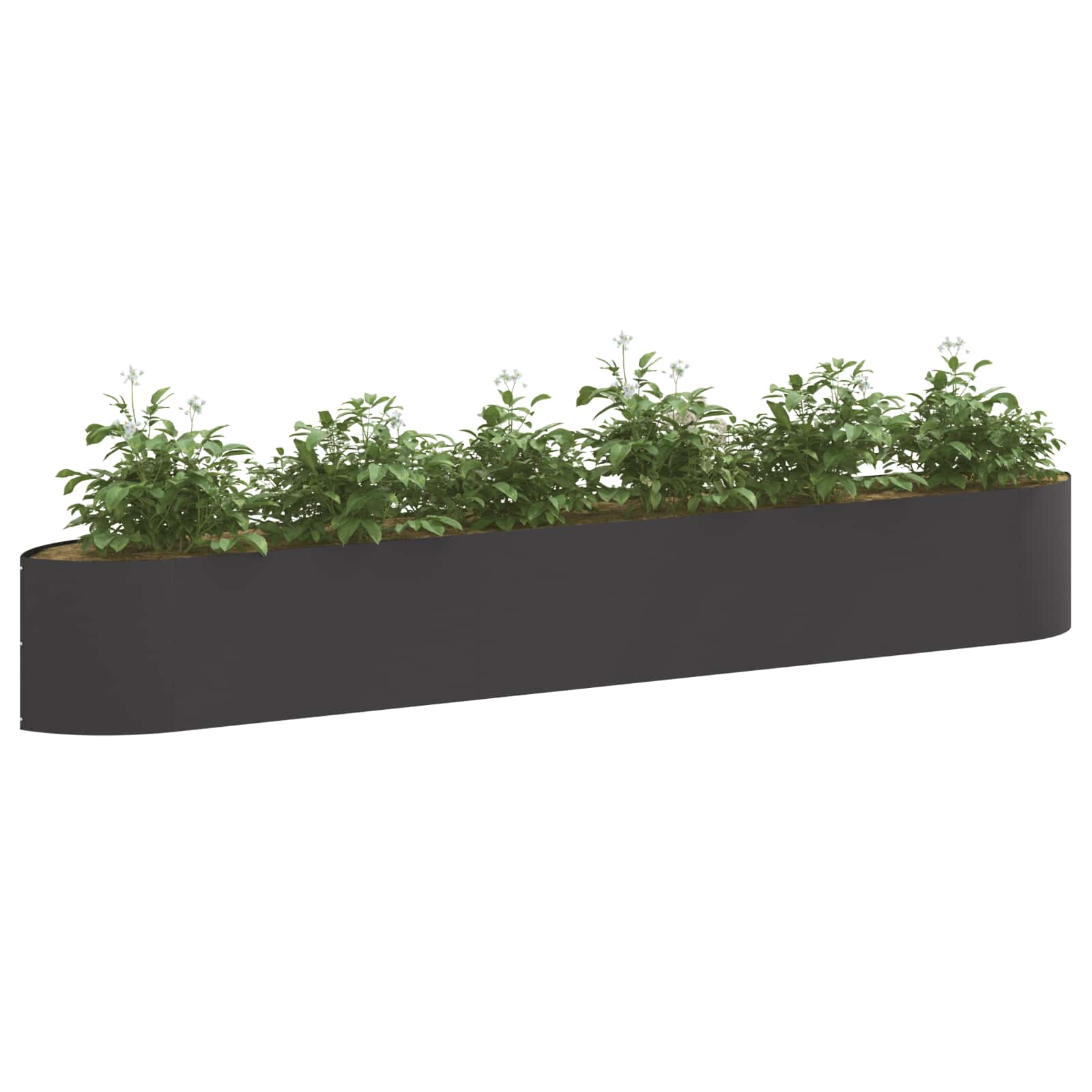 Verhoogd Tuinbed Zwart 300 x 40 x 40 cm Staal image 2