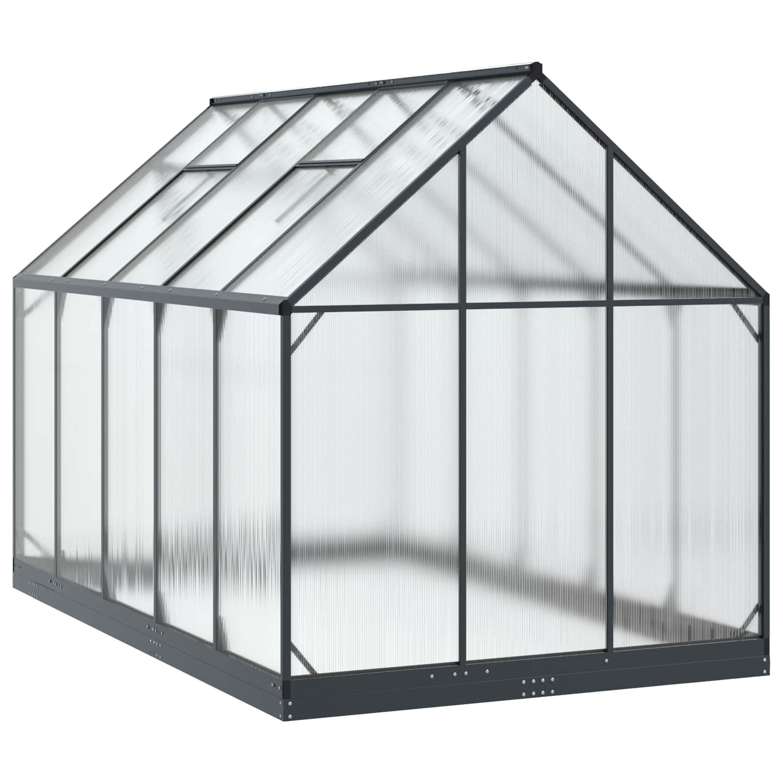 Tuin Serre met de deur Antracietkleurig 183,5 x 303,5 x 207 cm image 6