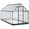 vidaXL Aia kasvuhoone 183,5 x 423,5 x 207 cm