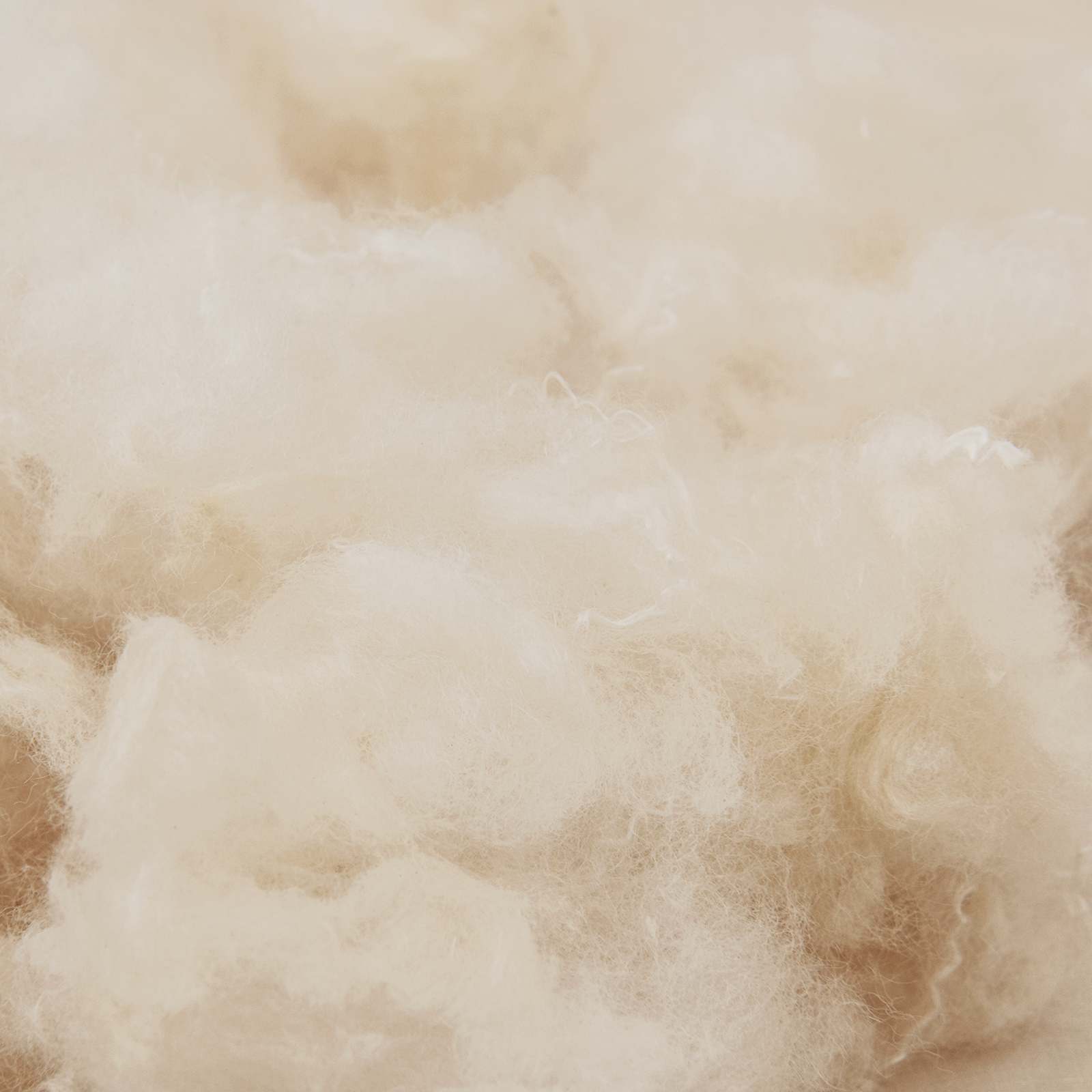 Dekbedset 2 st 135 x 220 cm Alle seizoenen Kapokvezel Beige image 7