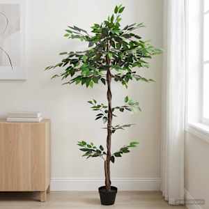 Umělá rostlina Ficus Zelená 85 x 18 x 160 cm Tkanina a dřevo