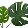 Toote pisipilt  4 / 6