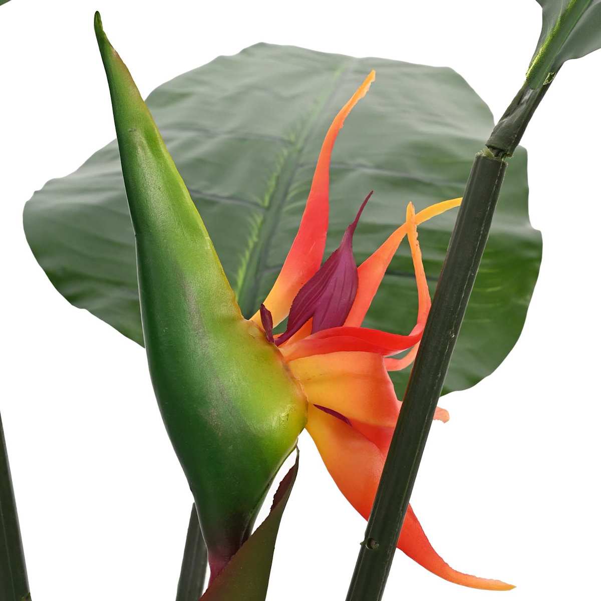 Kunstig Strelitzia Plante Grøn 70 x 18 x 155 cm Stof og PE - Billede 4