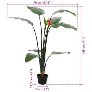 Umělá Rostlina Strelitzia Zelená 70 x 18 x 155 cm Textil a PE - obrázek 6