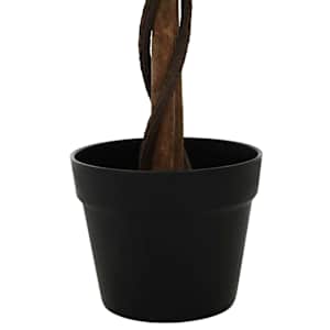 Umělá rostlina Ficus Zelená 90 x 16 x 110 cm Tkanina a dřevo - obrázek 4