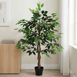 Umělá rostlina Ficus Zelená 90 x 16 x 110 cm Tkanina a dřevo