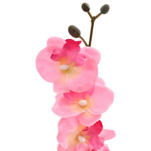 Umělá orchidejová rostlina Růžová 36 x 10 x 30 cm - obrázek 4