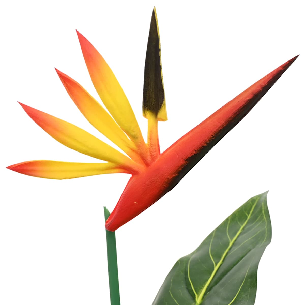 Kunstig Strelitzia Plante Grøn 65 x 13 x 55 cm Stof, PE og PEVA - Billede 5