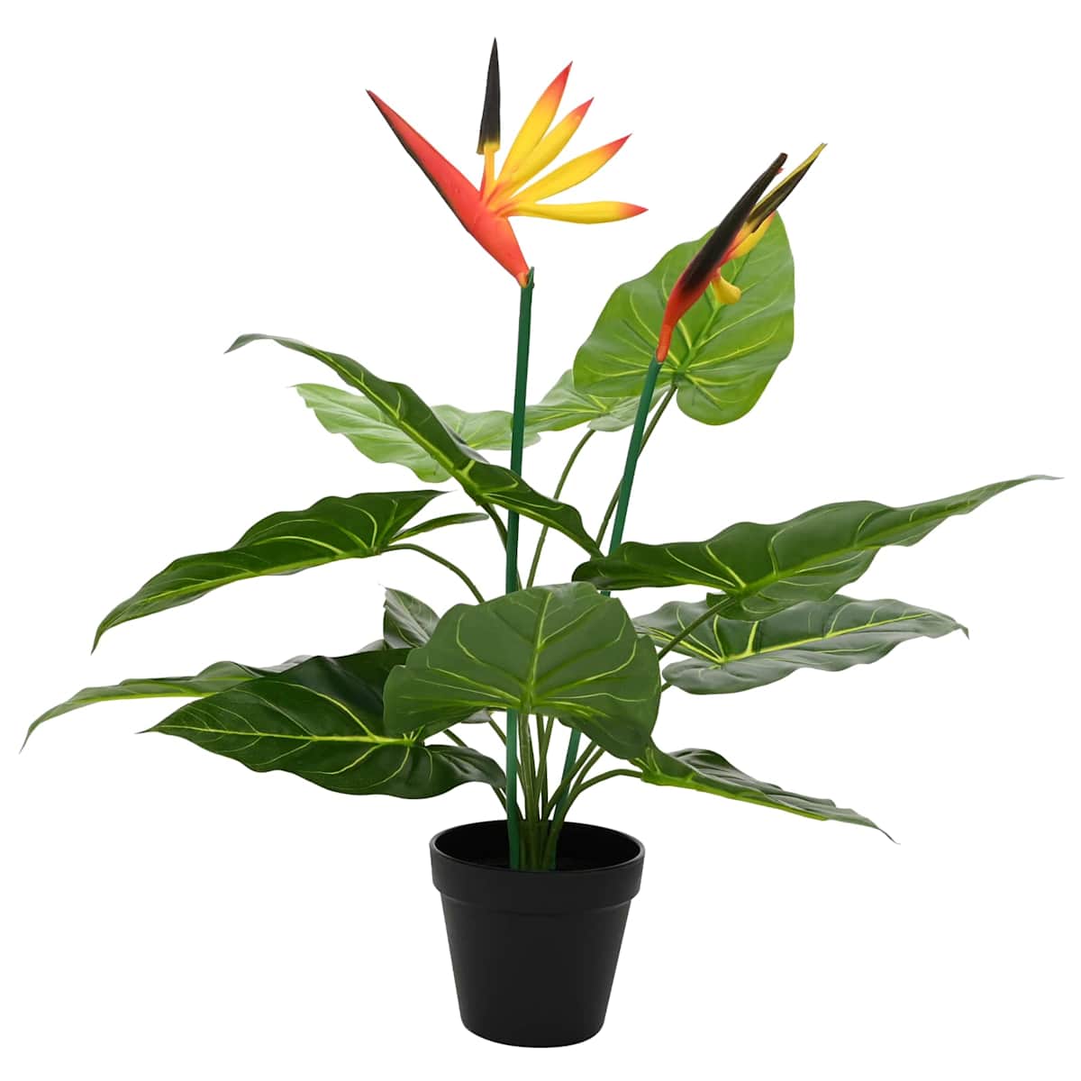 Kunstig Strelitzia Plante Grøn 65 x 13 x 55 cm Stof, PE og PEVA - Billede 3